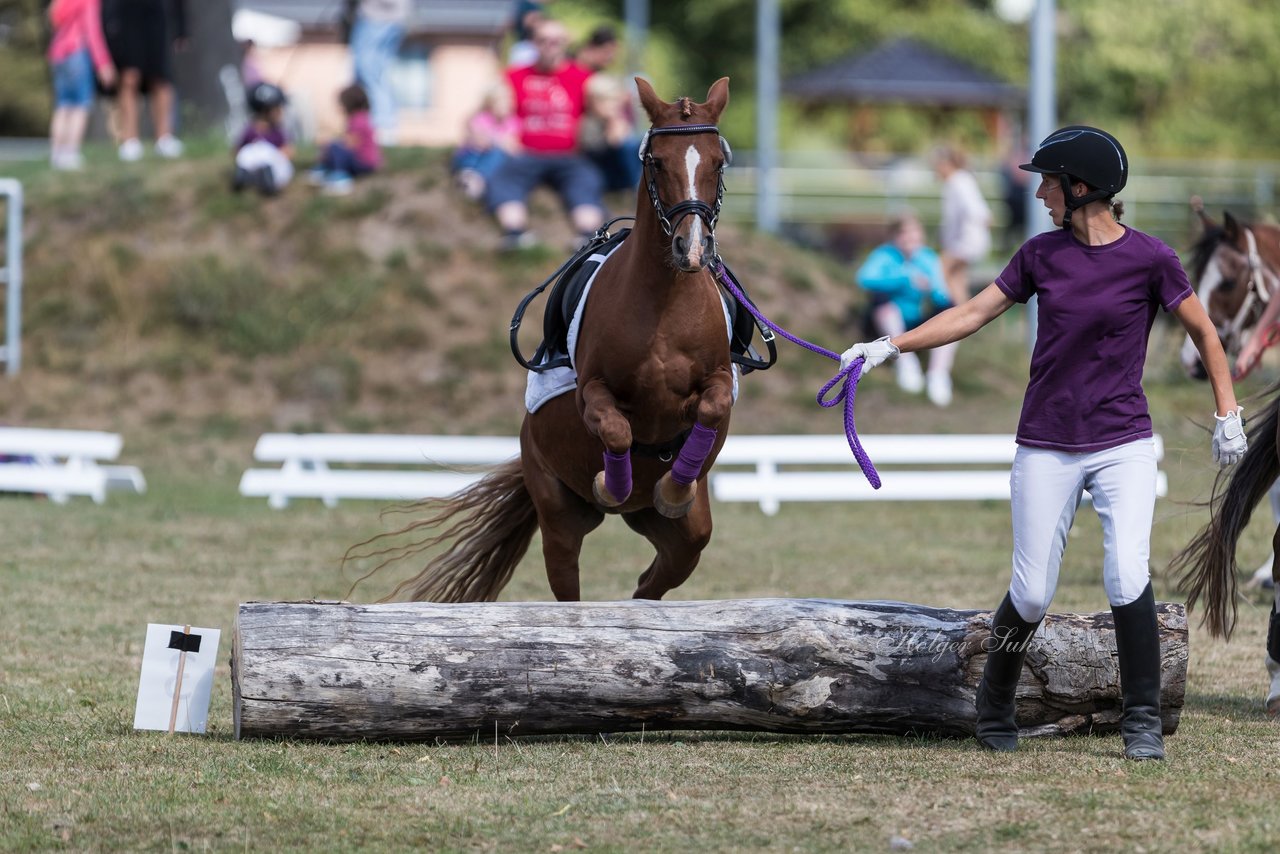 Bild 41 - Pony Akademie Turnier